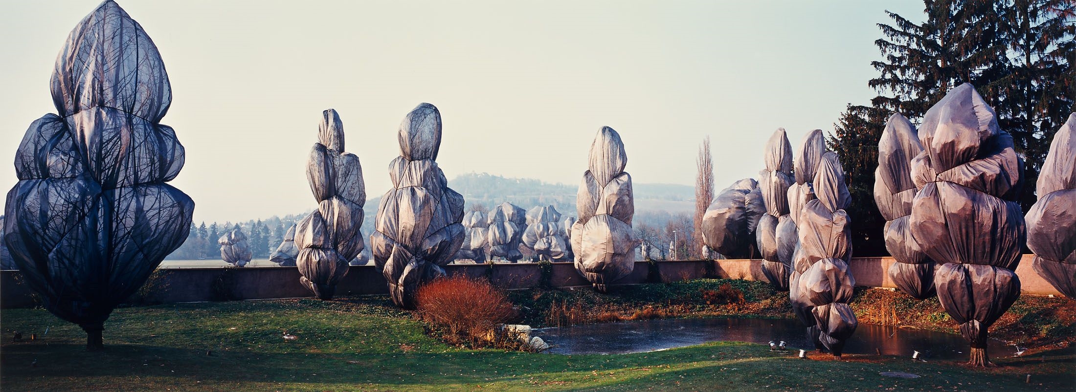 Christo and Jeanne-Claude: Wrapped Trees, Fondation Beyeler and Berower Parc, Riehen, Switzerland by Wolfgang Volz, 1997/1998