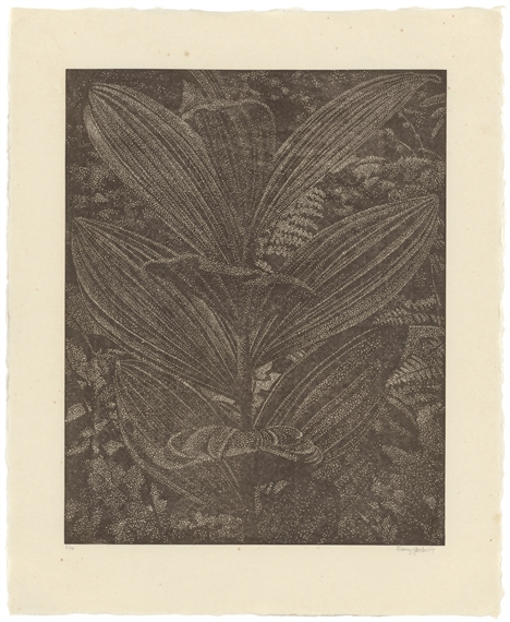 Gelber Enzian by Franz Gertsch, 2003