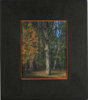 Waldstück - Andreas Deckardt