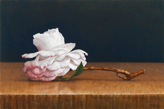 Tammia Camellia by Tzu-Chi Yeh, 2011 - 2017