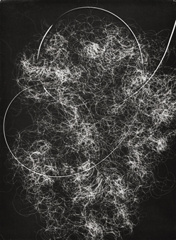 Photogram - Lou Landauer