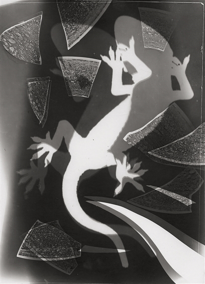 3 works, Photograms of geckos