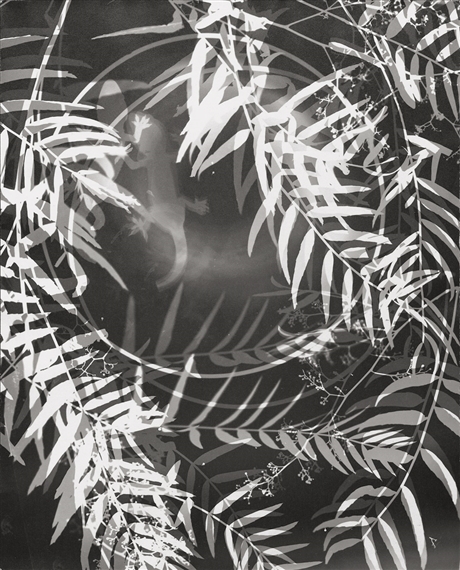 Wild pepper tree and objects