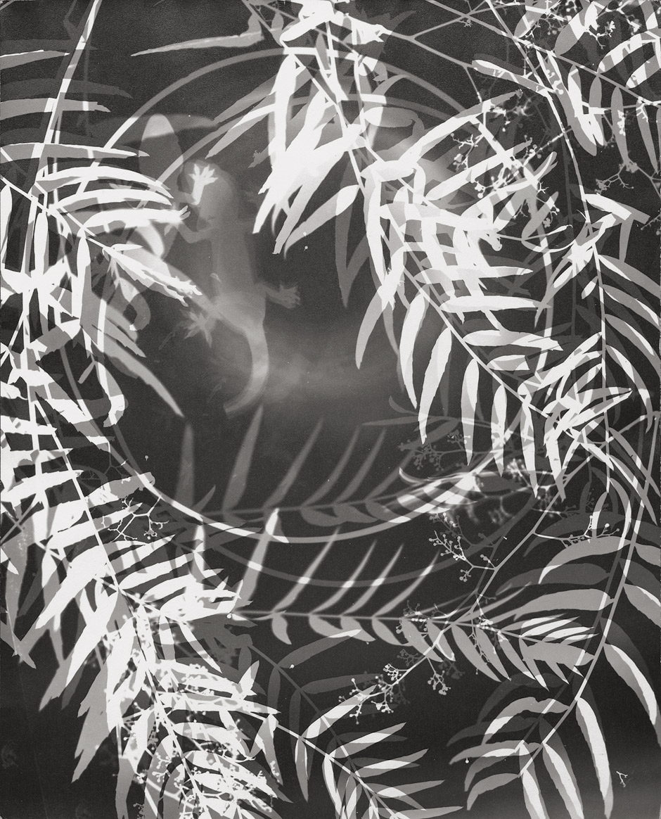 Artwork by Lou Landauer, Wild pepper tree and objects, Made of Vintage gelatin silver print