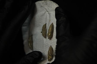 Ariel McCleese: Painted Lady - UCI Art Gallery 