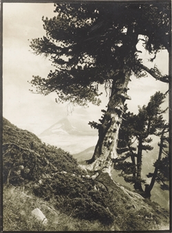 Alpendarstellungen - Antoine Mazel