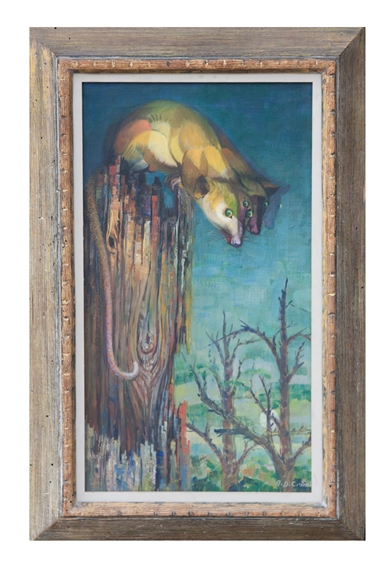 Oppossum by Alfred Crimi