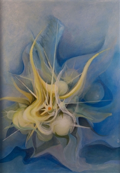 To the stars - Franz Zanella