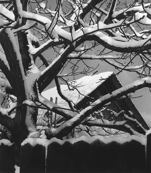 Zimní motiv, nedatováno by Antonín Gribovský