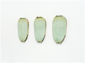 Choong Sup Lim (South Korean, 1941)