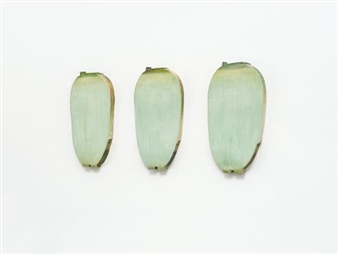 Choong Sup Lim: Monochromatic Thinking - Gallery Hyundai