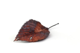 Ripples & Blooms: Exhibition of metal works by Shota Suzuki opens at Ippodo Gallery