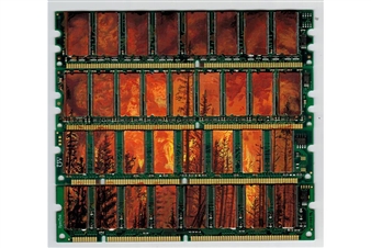 Launch LA opens solo exhibitions of works by Axel Wilhite and Susan Feldman