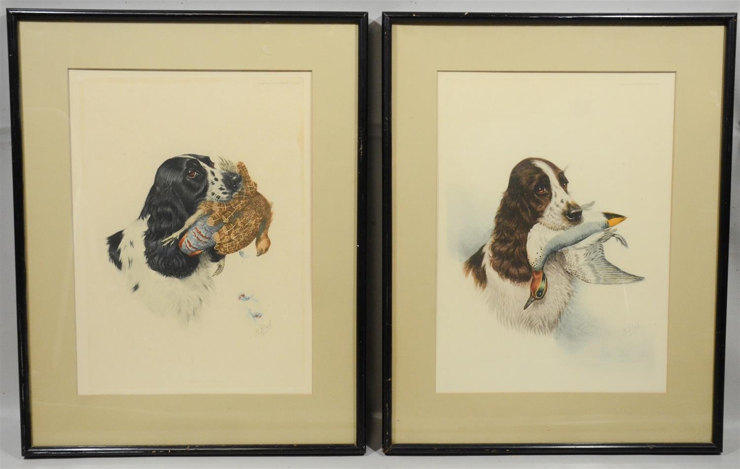Boris Riab | Cocker Spaniel with Teal and Cocker Spaniel with Partridge ...