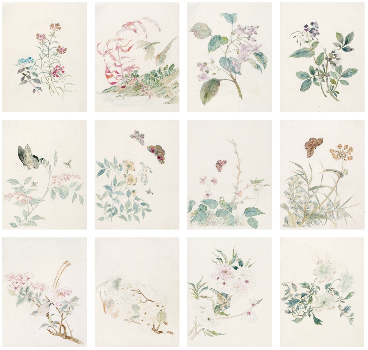 Artwork by Xia Yiqiao, 12 PIECES, ALBUM OF FLOWERS AND BIRDS, Made of Ink and color on paper