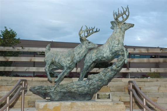 Whitetail Deer (Heroic Size)