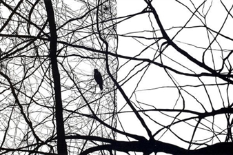 Big Ink: Large Scale Prints from the Woodcut Revolution - Brickbottom Gallery