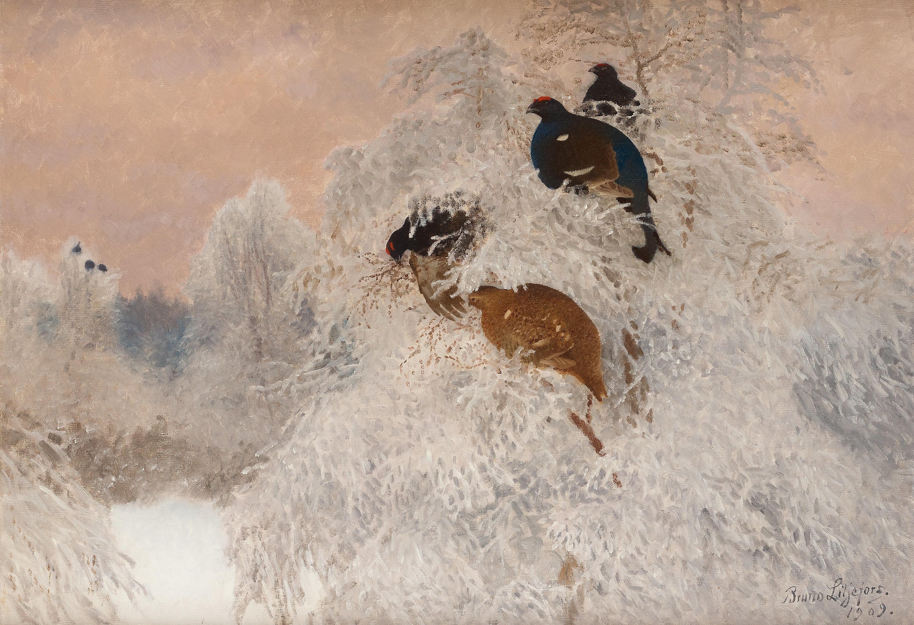 Artwork by Bruno Liljefors, Winter landscape with black grouse, Made of Oil on canvas