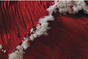 Sherman Centre for Culture and Ideas announces inaugural Fashion Hub programme