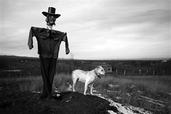 Article preview image on ArtDaily, Dec 30, 2017.