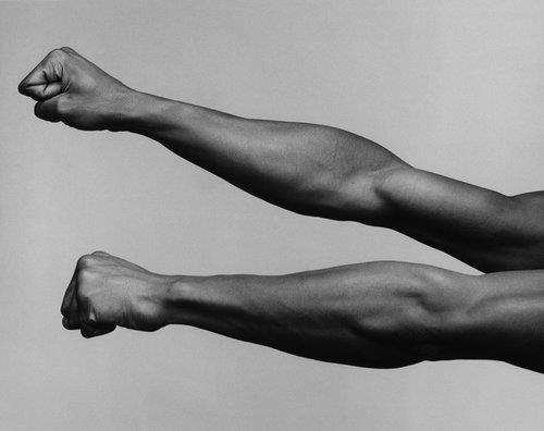 Robert Mapplethorpe: Minimalism - Weinstein Hammons Gallery