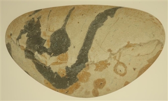 Nell,Motherwell and Pollution - Donn Moulton