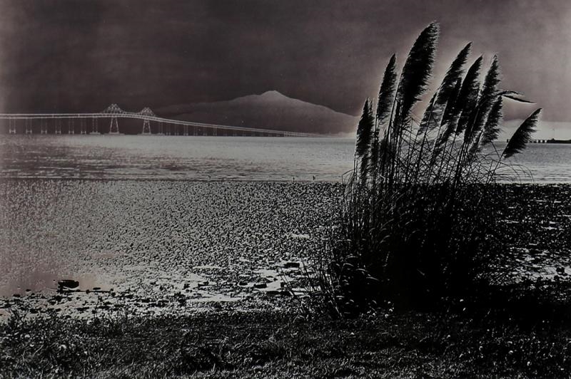 William Jolly | Mt. Tamalpais From Pt. Molate Park, Richmond, CA (1990s ...