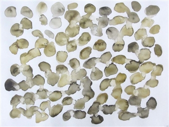 Untitled (from the ‘Kabinet voor Replica Reserva’) No. 28 - Loek Grootjans