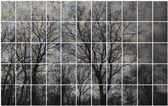 The Millenium is Majorning - MARCA, Museo delle Arti di Catanzaro