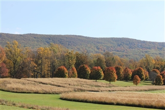 Indicators: Artists on Climate Change - Storm King Art Center