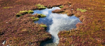 Views from the Ends of the Earth: A Photographic Journey Into Unknown Patagonia - Coningsby Gallery