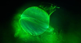 Eco-Visionaries - HeK - House of Electronic Arts, Basel