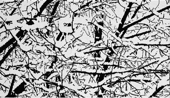 Farhad Moshiri: First snow - Thaddaeus Ropac, Salzburg (Villa Kast)