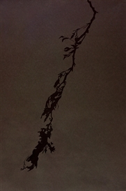 Miranda Lichtenstein (American, 1970)