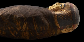 Mummies - The Field Museum