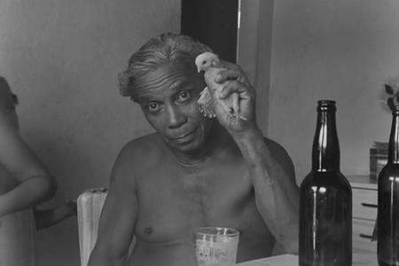 Jardim das delícia com juízo final - Galeria Cavalo