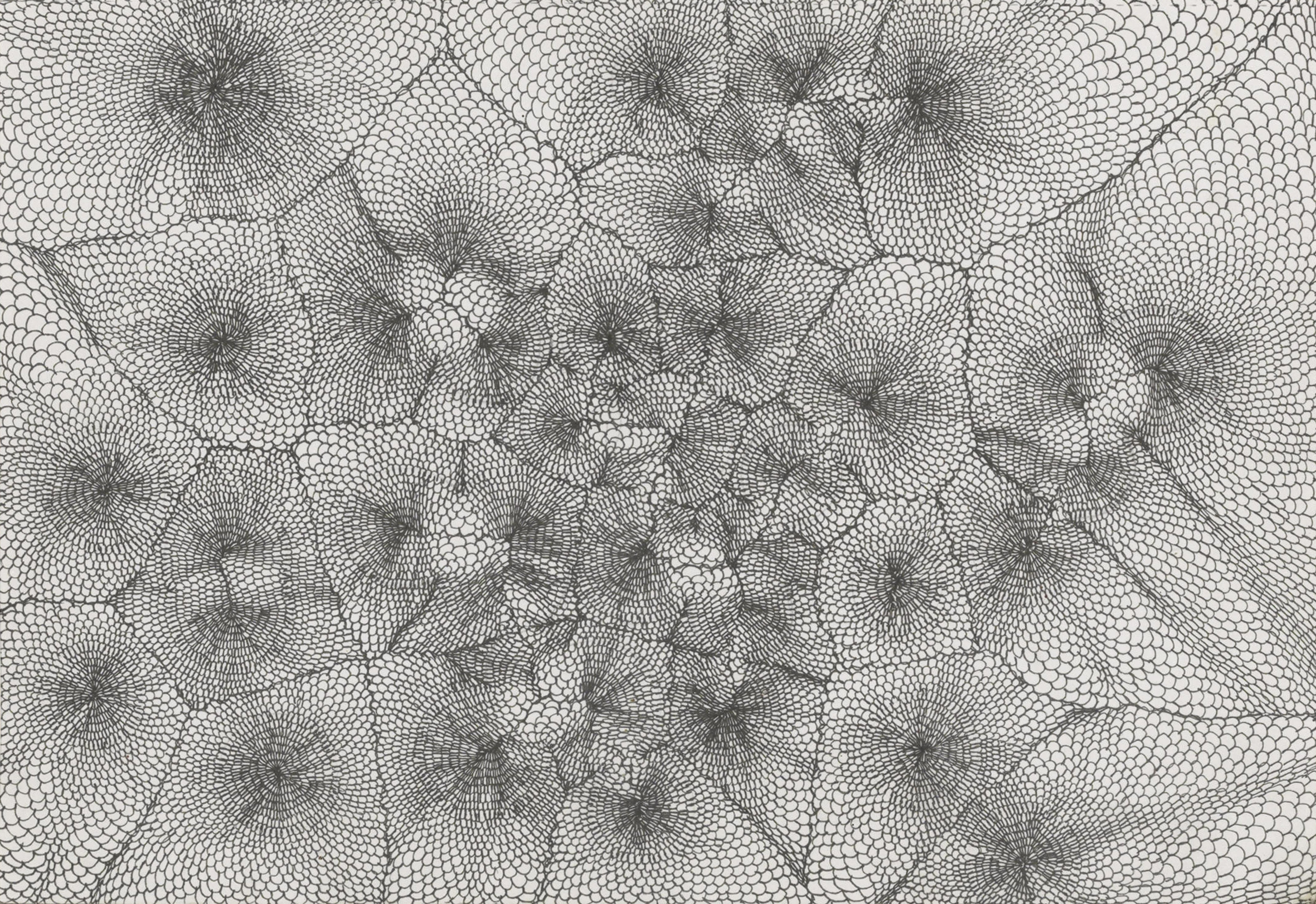 Artwork by Rose Pearson, Untitled 2, Made of Pen on paper