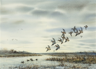 Teal - Milton C. Weiler