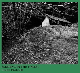 Dileep Prakash: Sleeping In The Forest - Photoink