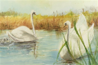 Mute Swans - Elsa K. Hall
