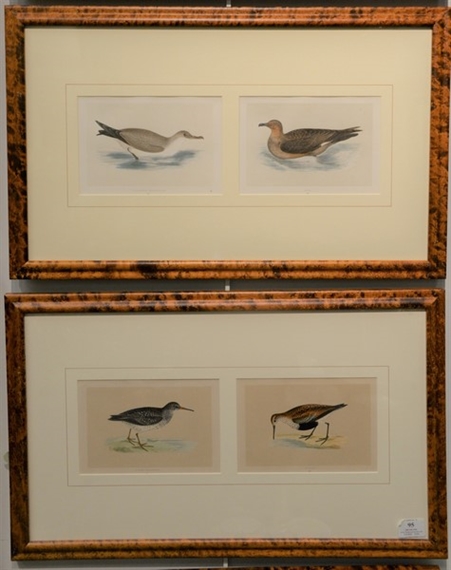 8 Works: The History of British Birds:Dotterel and Ringed Dotterel, Cinereous Shearwater and Skua, Purple Sandpiper and Dunlin, Eared Grebe and Little Grebe and Others by Francis Orpen Morris