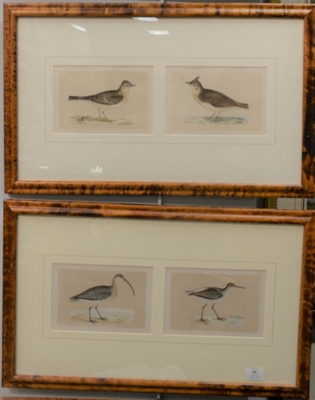 8 Works: The History of British Birds: Grey Plover, Oyster Catcher, Curlew, Redshank, Sky Lark, Crested Lark, Nut Cracker and Hawfinch by Francis Orpen Morris