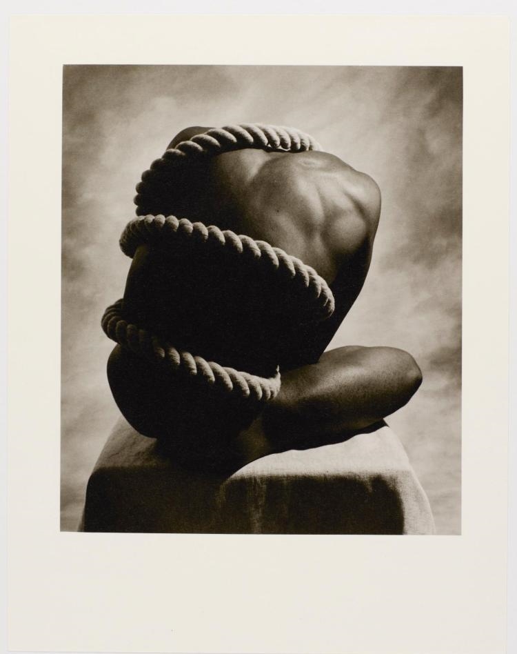 Stephane Graff | Torse de Belvedere (1991) | MutualArt