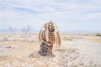 Nina Dietzel: Dreamland - SFMOMA Artists Gallery
