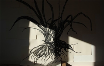 Jeanne De Petriconi: Asphodèle - Gallery Magda Bellotti