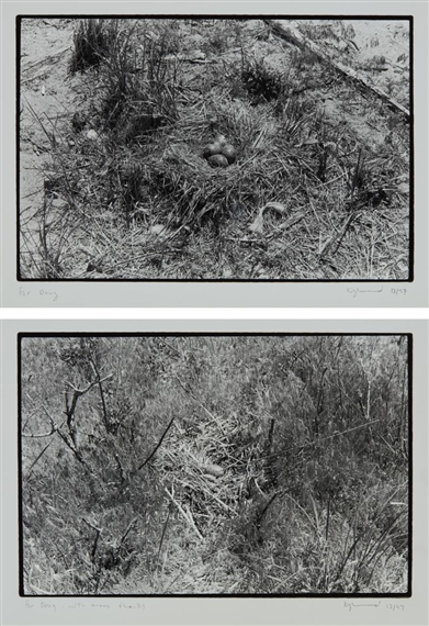 Two works: (i) Nest no. 1; (ii) Nest by Zoe Leonard, 1997