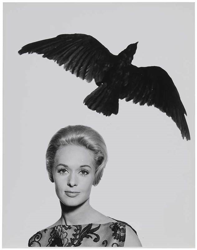 Tippi Hedren in The Birds by Philippe Halsman, 1962