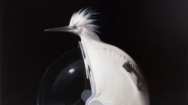 Sam Leach: Mercury  - Sullivan+Strumpf, Sydney