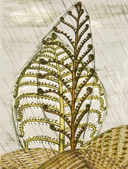 Tree Ferns in Rain by Juliet Peter