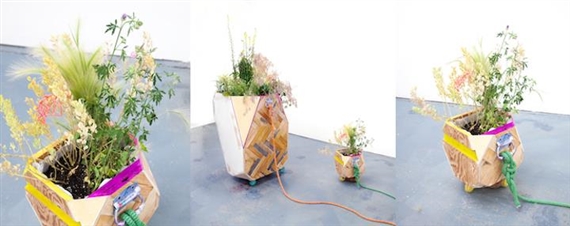 Jenny Kendler: Garden for a Changing Climate - Gallery 400